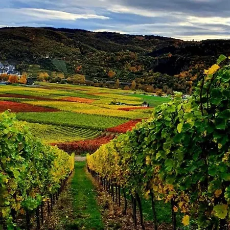 Fuhrmann-burg אלנז-פולטרסדורף