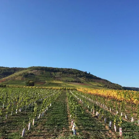 Fuhrmann-burg Apartamento Ellenz-Poltersdorf