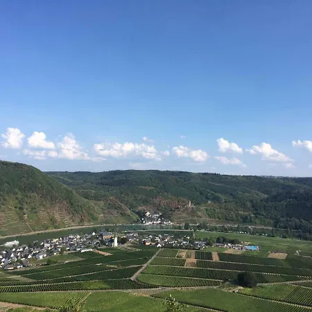 Fuhrmann-burg *