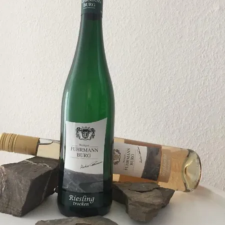 Апартаменты Fuhrmann-burg *