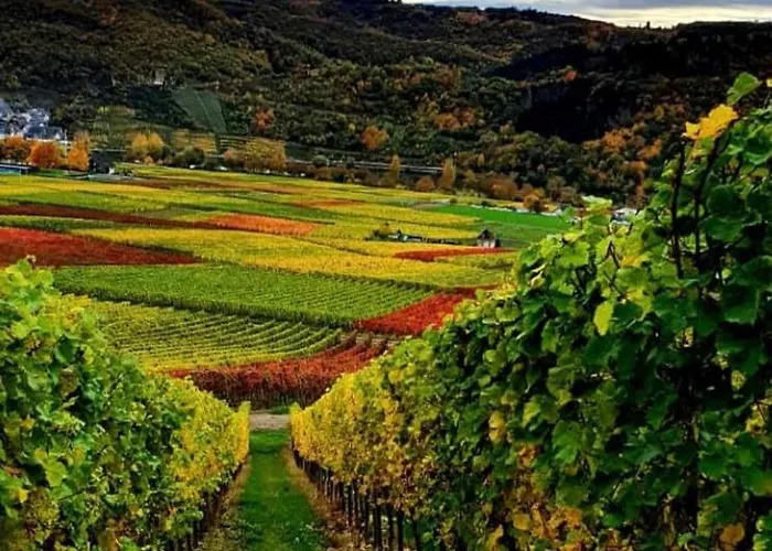 Fuhrmann-burg אלנז-פולטרסדורף