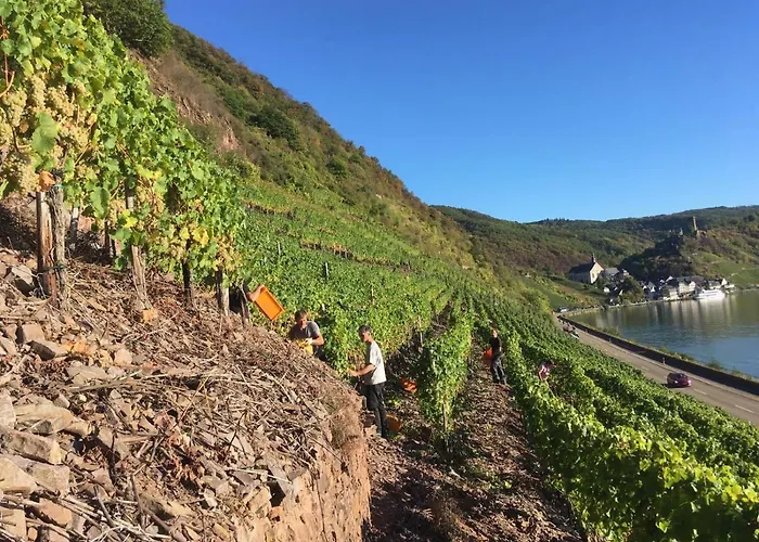 Fuhrmann-burg דירה