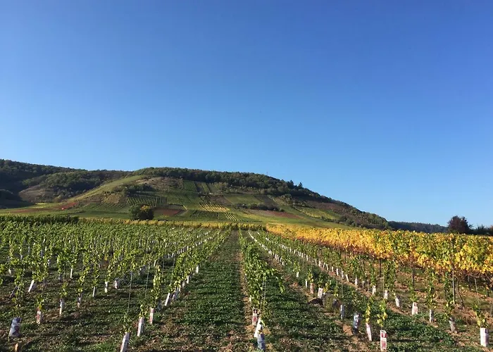 Fuhrmann-burg Lägenhet Ellenz-Poltersdorf